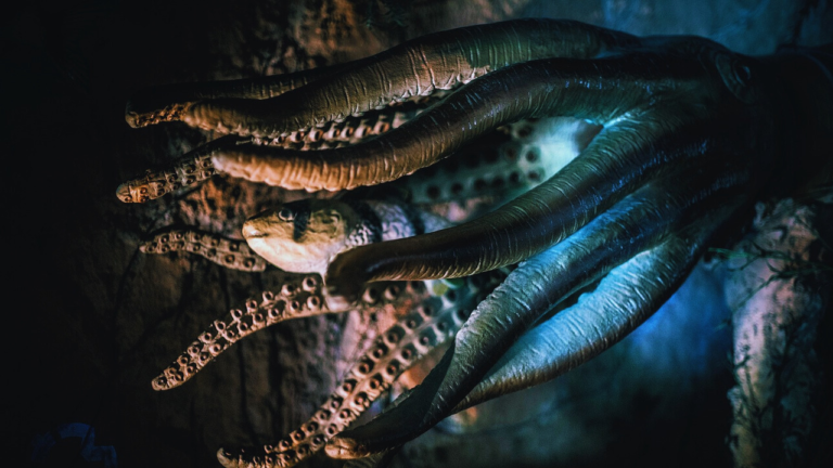 The Kraken: Unveiling the Truth Behind the Sea Monster Myth